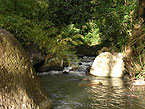 Nature Conscience et Chamanisme
