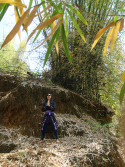 Liao enseigne Chan Tai Ji en Chine
