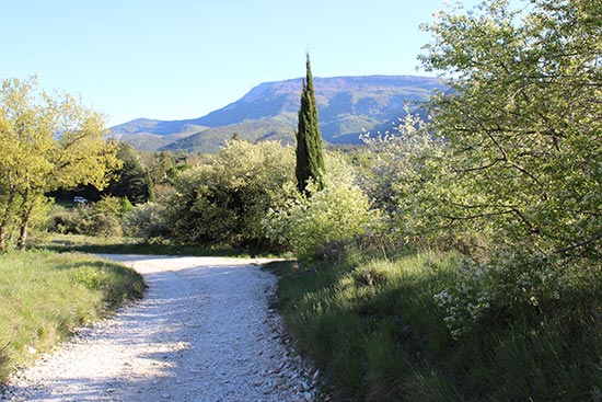 Centre Colline et Cyprès en Drôme provençale